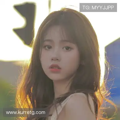 沈辉